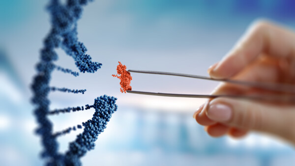 BB Biotech: Share price resilience as portfolio is reshaped